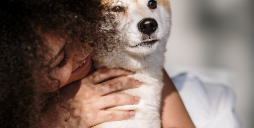 PETSIDI 39840 Los Alamos Rd Suites 3 & 4, Murrieta, CA 92562, United States