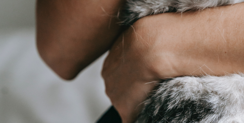 PETSIDI 39840 Los Alamos Rd Suites 3 & 4, Murrieta, CA 92562, United States