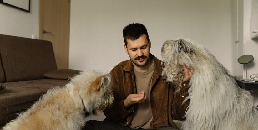 PETSIDI 39840 Los Alamos Rd Suites 3 & 4, Murrieta, CA 92562, United States